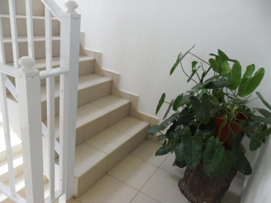 Casa Celeste Ponta Do Sol Dış mekan fotoğraf